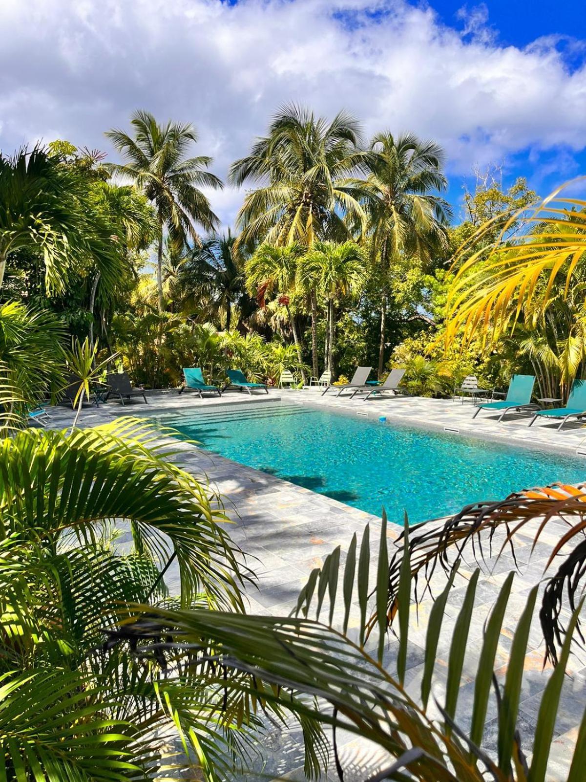 Caraib'Bay Hotel Deshaies Bagian luar foto