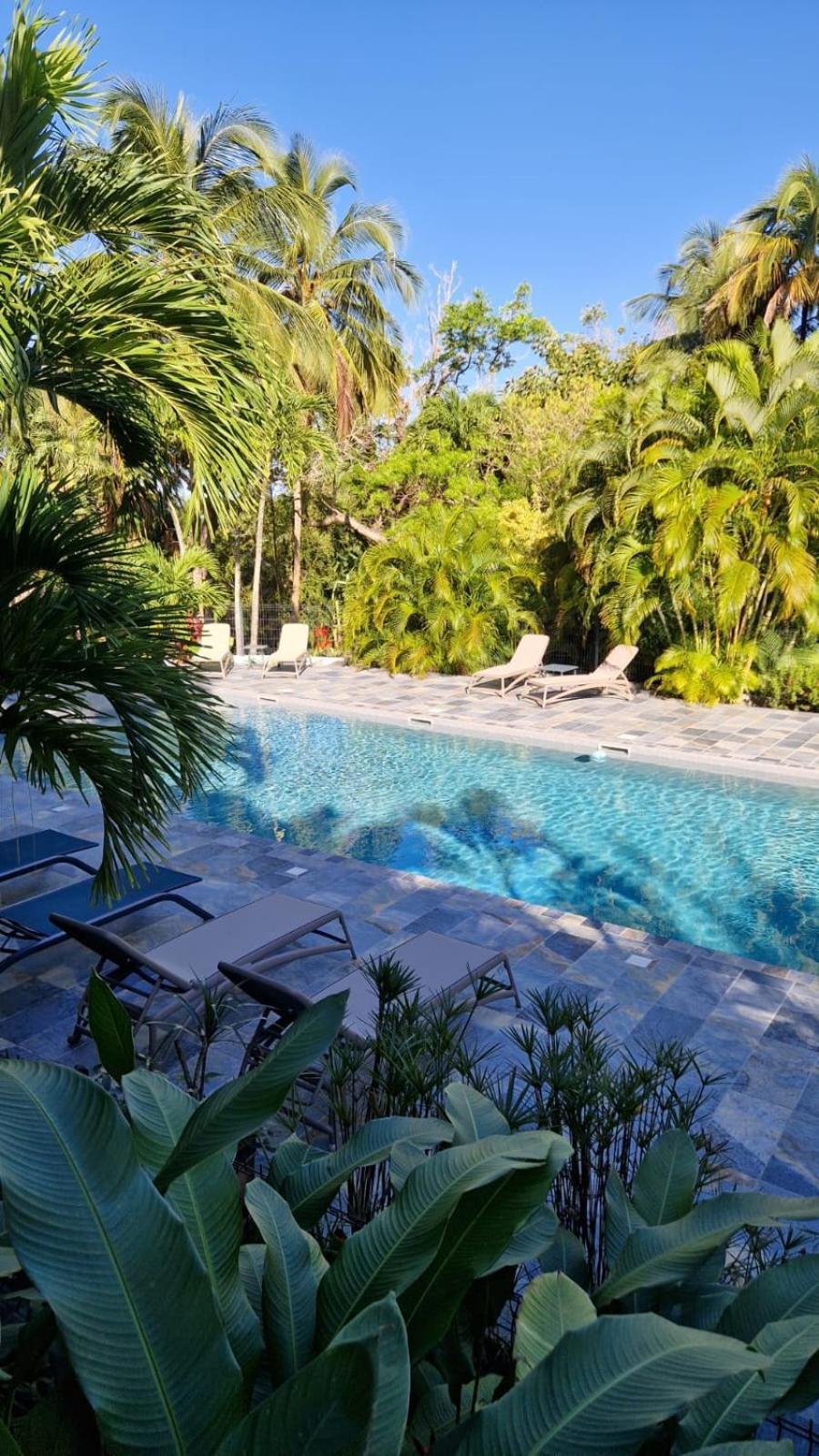 Caraib'Bay Hotel Deshaies Bagian luar foto