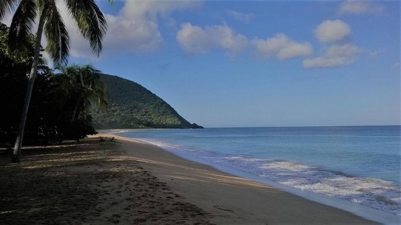 Caraib'Bay Hotel Deshaies Bagian luar foto